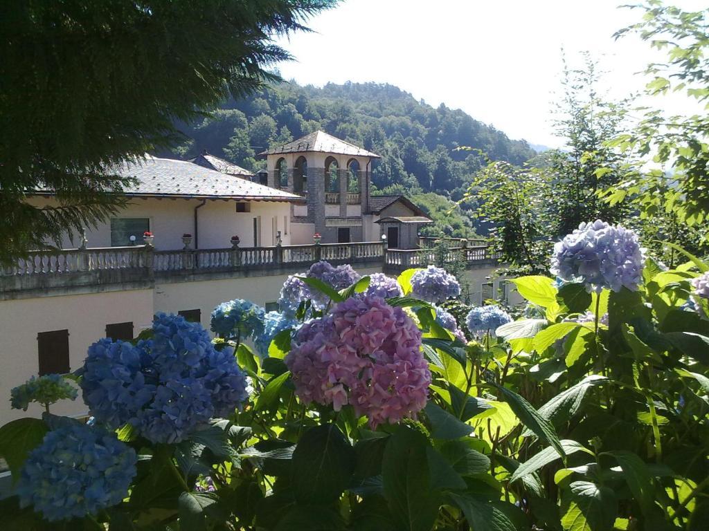 Hotel Villa Delle Ortensie Sant'Omobono Terme Ngoại thất bức ảnh